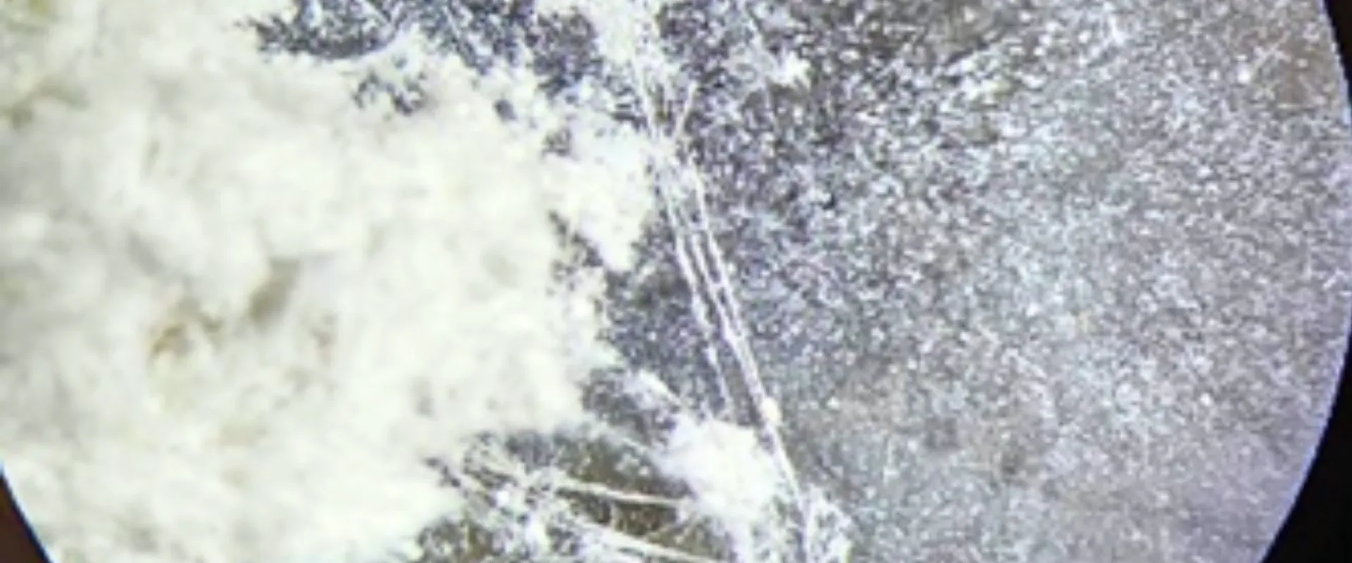 Asbestos Testing Sydney