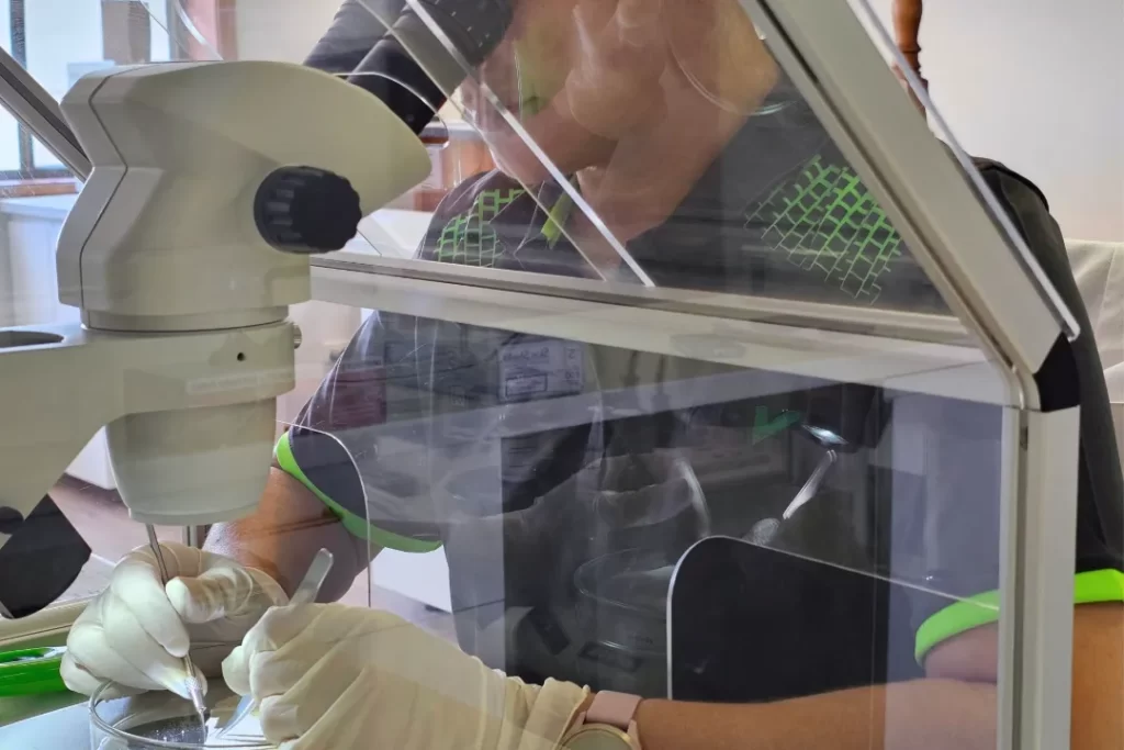 Asbestos Testing Wollongong