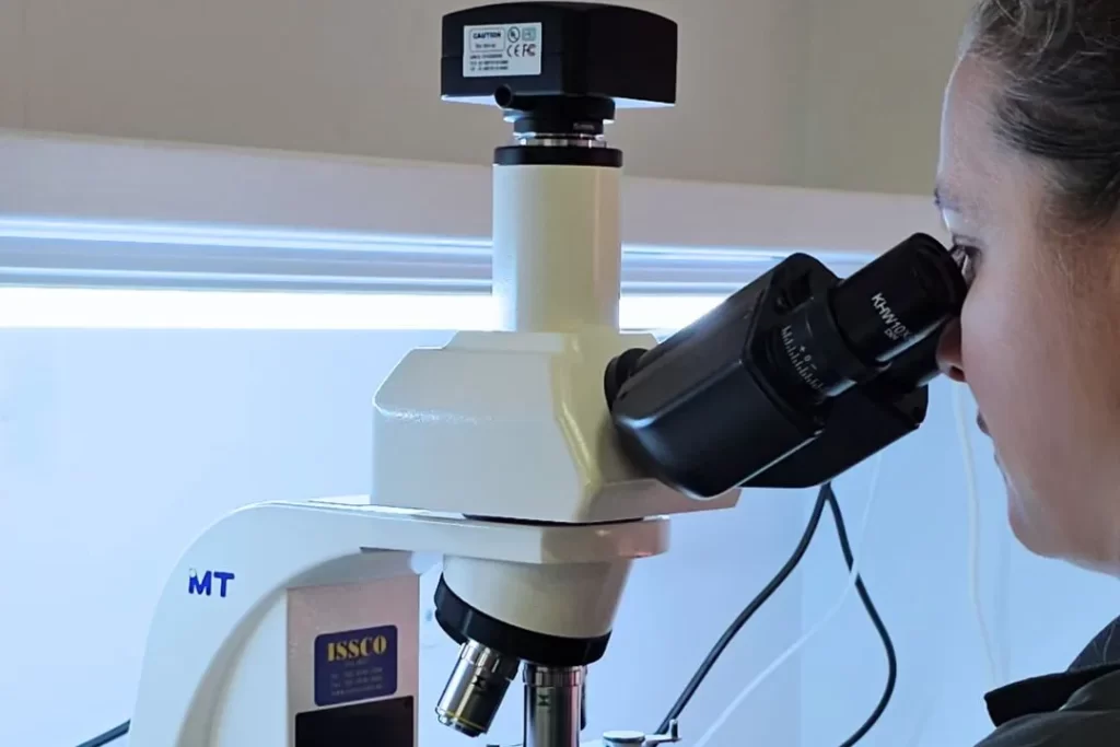 Asbestos Testing Wollongong