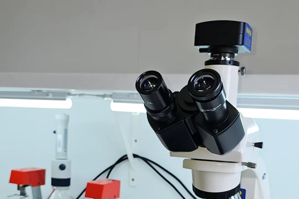 Asbestos Testing Wollongong