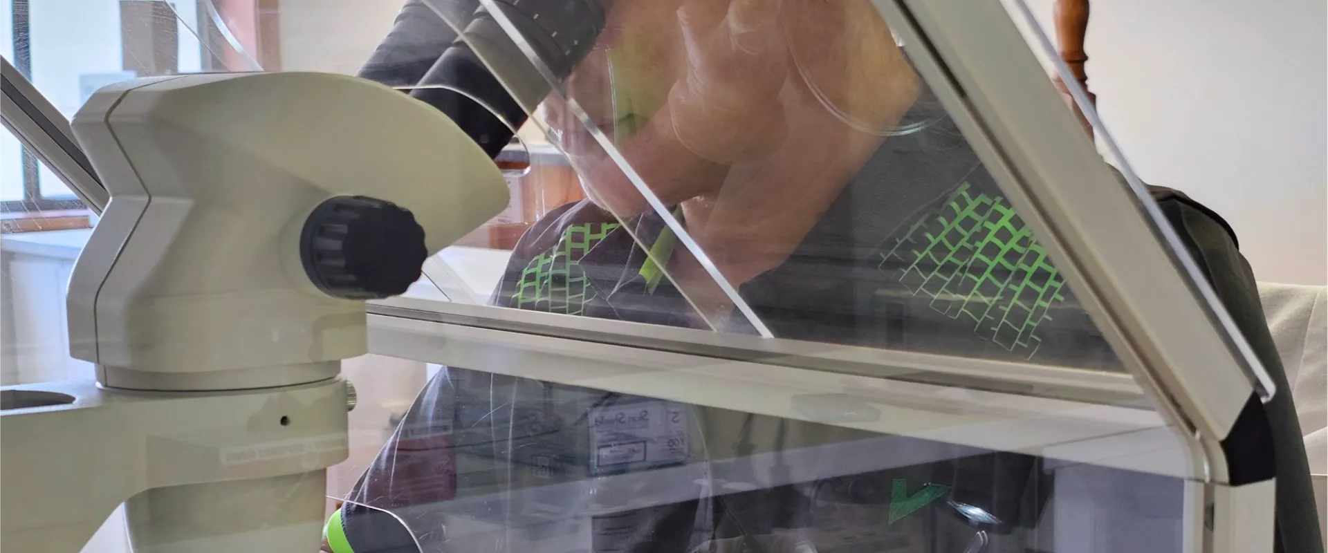 Asbestos Testing NSW