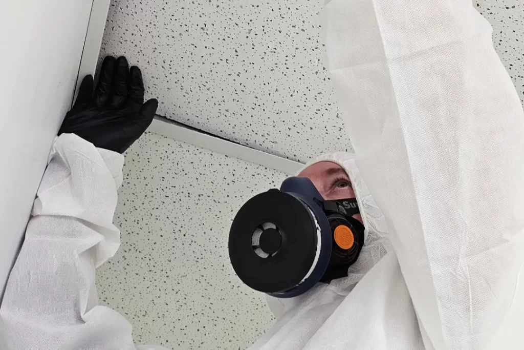 Asbestos Testing NSW