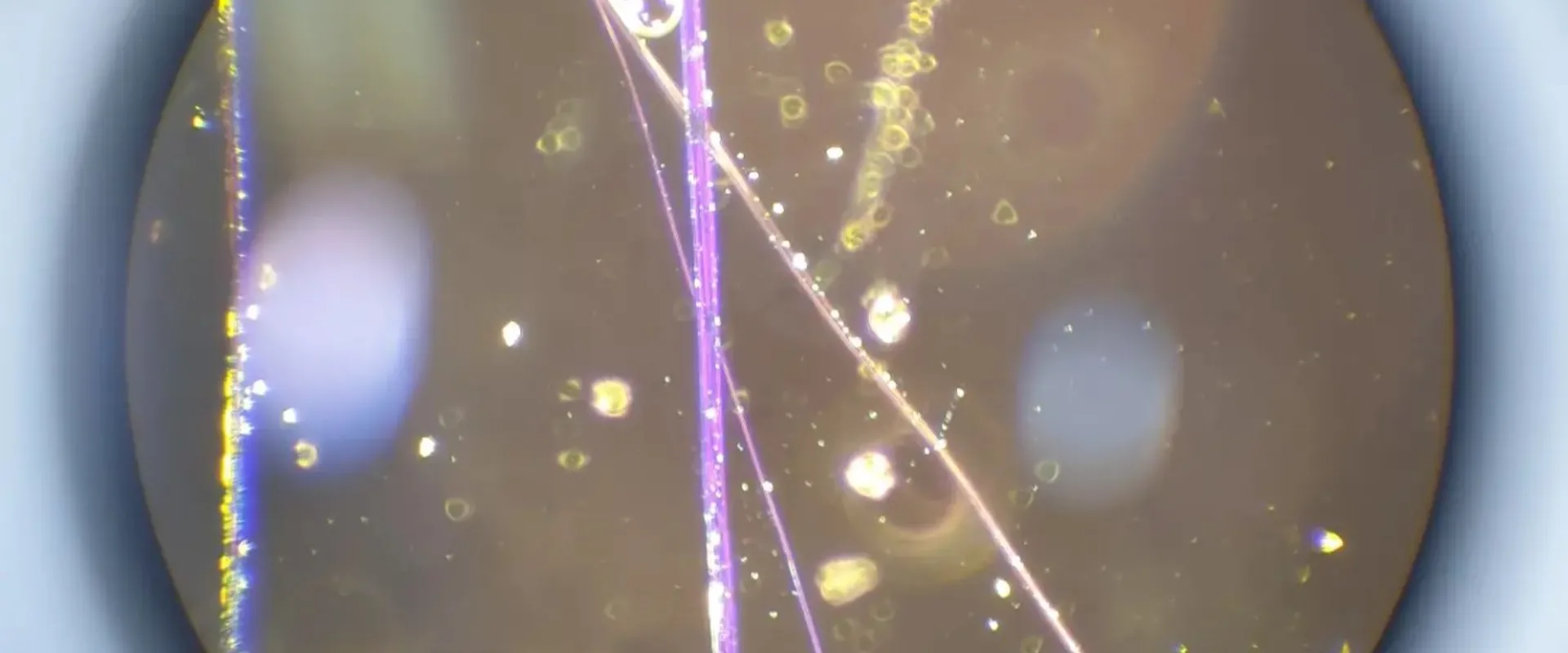 Asbestos Lab Testing Sydney