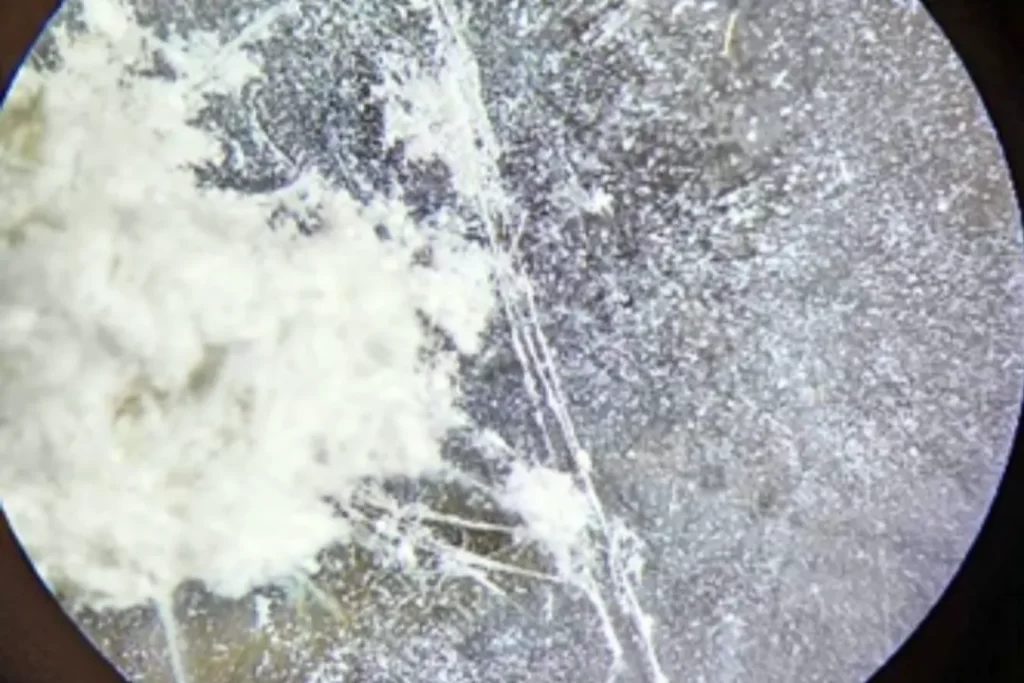 Asbestos Lab Testing Sydney