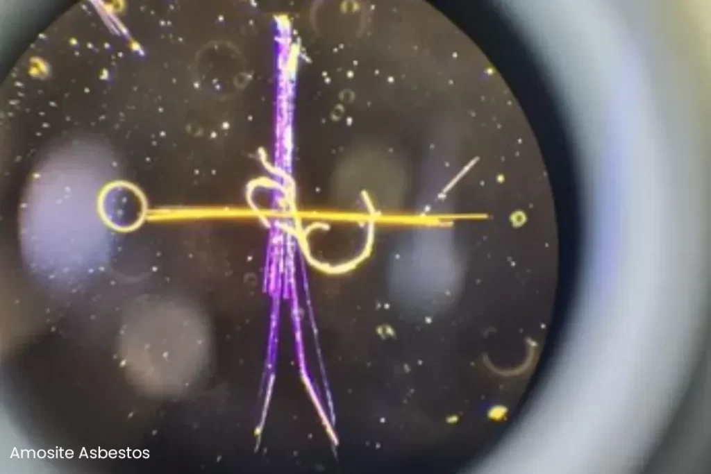 Asbestos Lab Testing Sydney