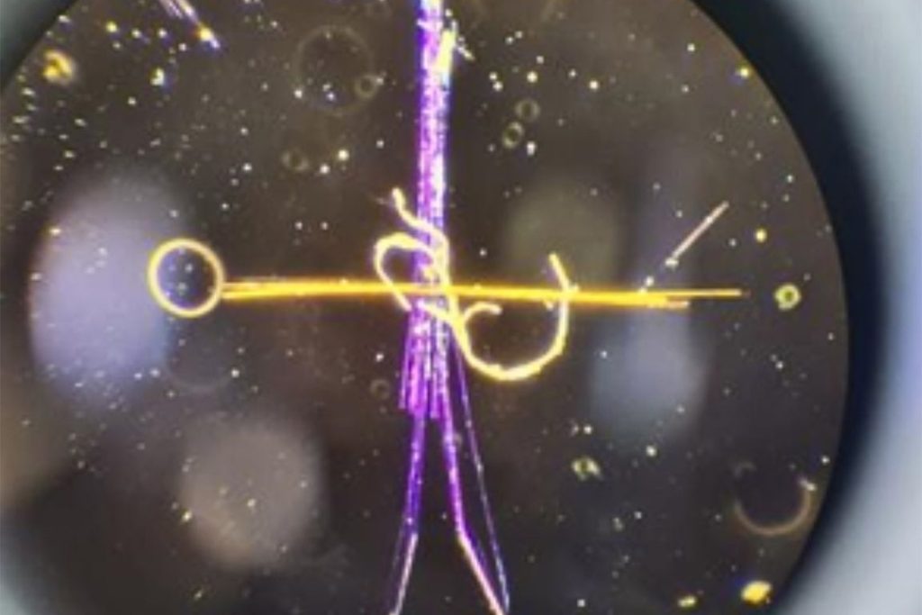 Asbestos Testing Sydney