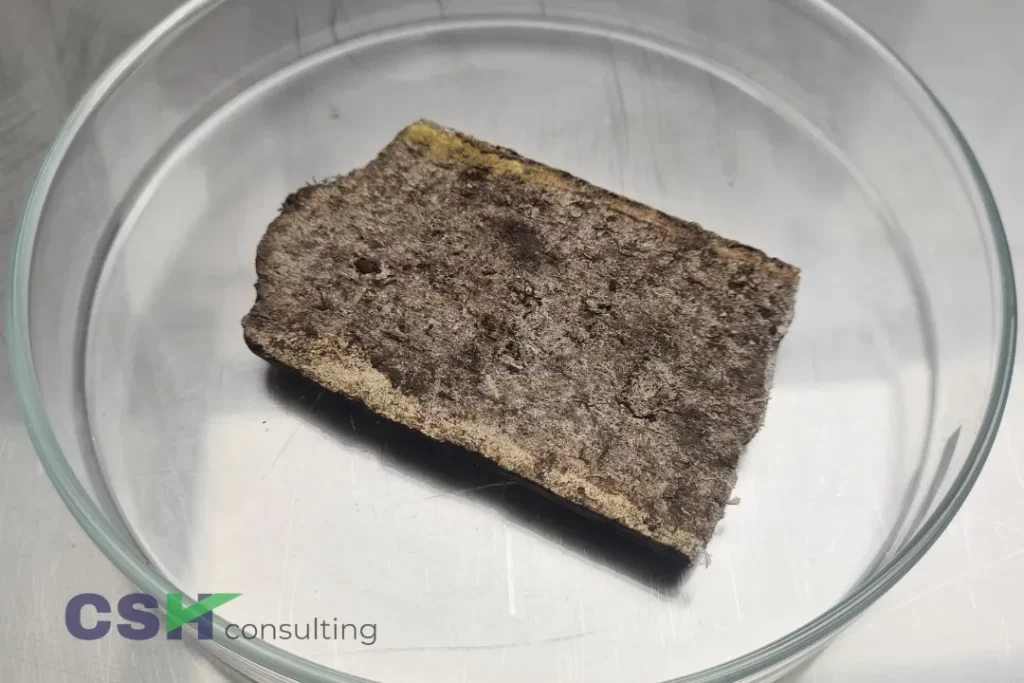 Asbestos Testing Milton