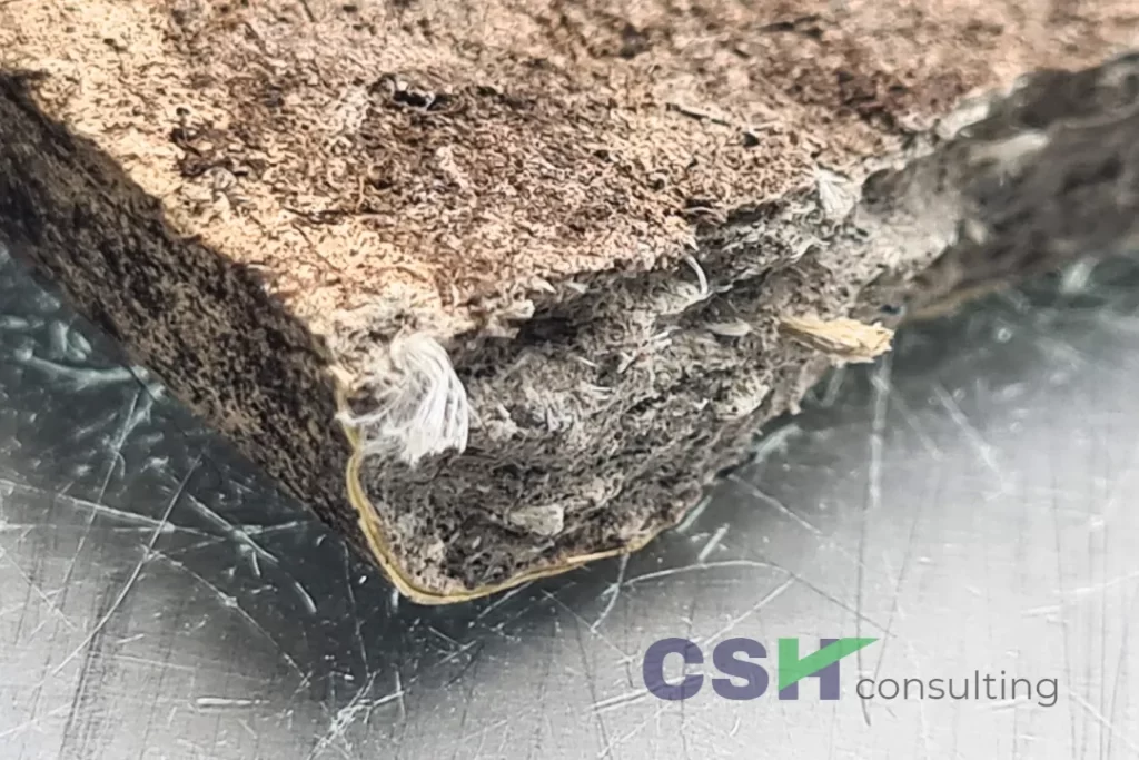 Asbestos Testing Milton