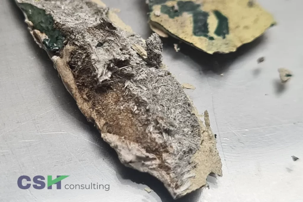 Asbestos Testing Milton