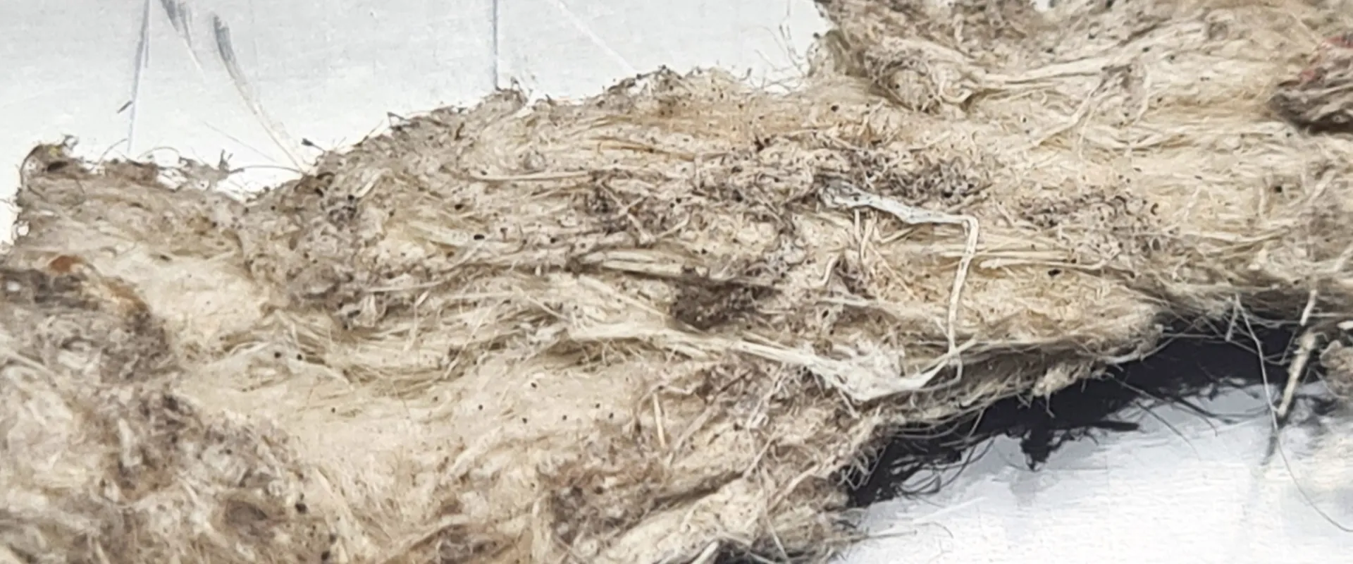 Asbestos Testing Milton